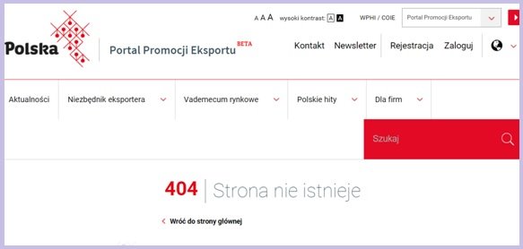 Promowana w mediach przez kilka miesięcy, strona portalu promocji polskiego eksportu