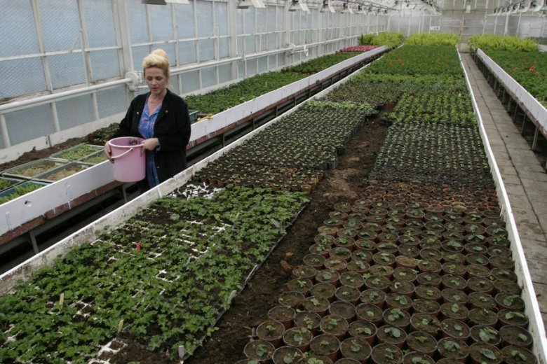 Generalny Inspektorat Ochrony Roślin i Nasiennictwa postanowił zainwestować w komfortową limuzynę.